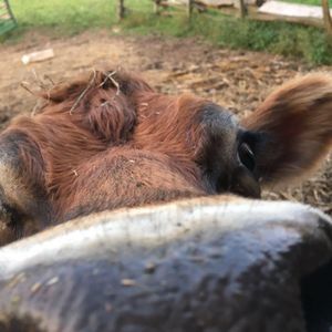 Meet your Posher, Katharine